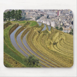 Asien, Kina, Yunnanprovinsen, Jinping. Jinping Musmatta