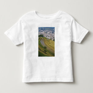 Asien, Kina, Yunnanprovinsen, Jinping. Jinping Tee