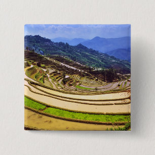 Asien, Kina, Yunnanprovinsen, Yuanyang härad. Knapp