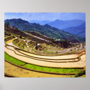 Asien, Kina, Yunnanprovinsen, Yuanyang härad. Poster