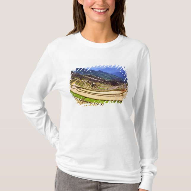 Asien, Kina, Yunnanprovinsen, Yuanyang härad. Tee (Framsida)
