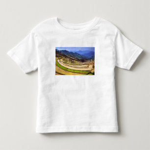 Asien, Kina, Yunnanprovinsen, Yuanyang härad. Tee