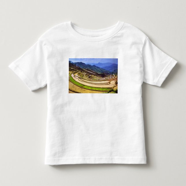Asien, Kina, Yunnanprovinsen, Yuanyang härad. Tee (Framsida)
