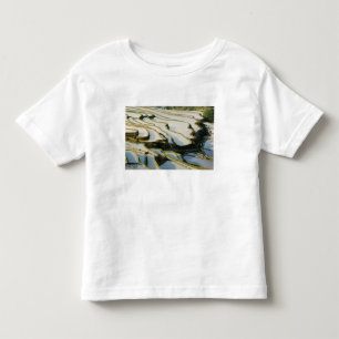 Asien, Kina, Yunnanprovinsen, Yuanyang härad. Tee Shirt