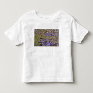 Asien, Kina, Yunnanprovinsen, Yuanyang. Översvämma T Shirt