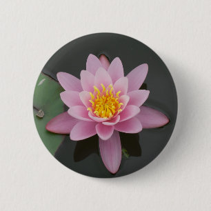 Asien lotusblommablomma knapp
