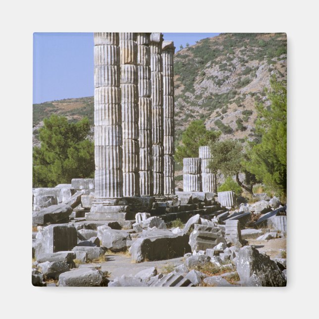 Asien, Mellanöstern, Turkiet, Efesos. Tempel Magnet (Framsidan)
