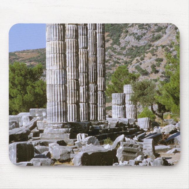 Asien, Mellanöstern, Turkiet, Efesos. Tempel Musmatta (Framsidan)