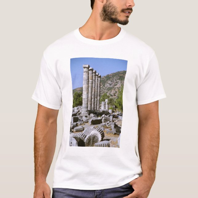Asien, Mellanöstern, Turkiet, Efesos. Tempel T Shirt (Framsida)