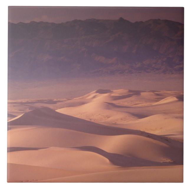 Asien, Mongoliet, Gobi Desert, Gobi Gurvansaikhan Kakelplatta (Framsidan)