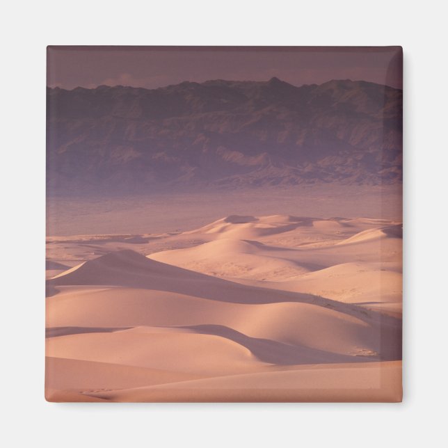 Asien, Mongoliet, Gobi Desert, Gobi Gurvansaikhan Magnet (Framsidan)