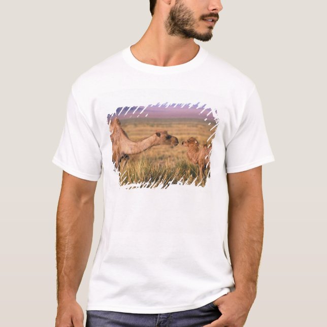 Asien, Mongoliet, Gobi Desert, Underbar Gobi T-shirt (Framsida)