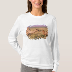 Asien, Mongoliet, Gobiöknen, Stor Gobi T-shirt