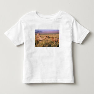 Asien, Mongoliet, Gobiöknen, Stor Gobi T-shirt