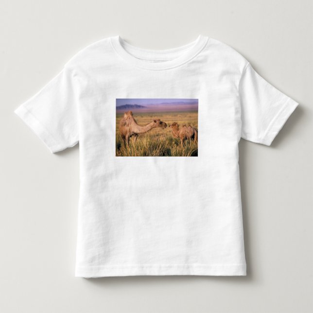 Asien, Mongoliet, Gobiöknen, Stor Gobi Tröja (Framsida)