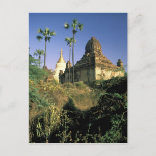 Asien, Myanmar, Bagan. Kubyauk-Gyi-templet. Vykort
