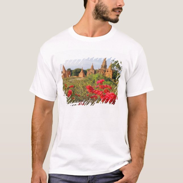 Asien, Myanmar (Burma), Bagan (Pagan). A Bagan T-shirt (Framsida)