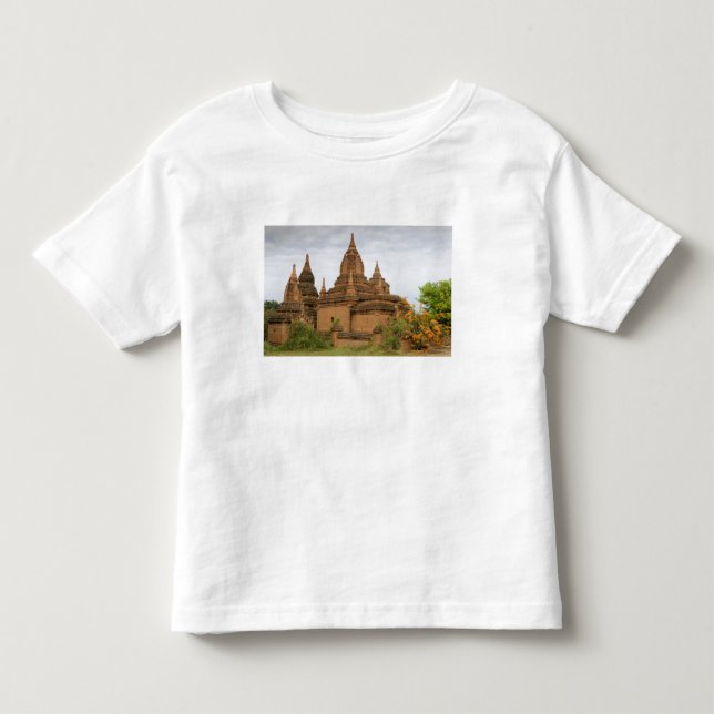 Asien, Myanmar (Burma), Bagan (Pagan). Diverse T Shirt (Framsida)