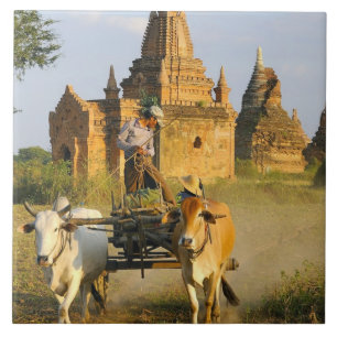 Asien, Myanmar (Burma), Bagan (Pagan). En kärra är Kakelplatta