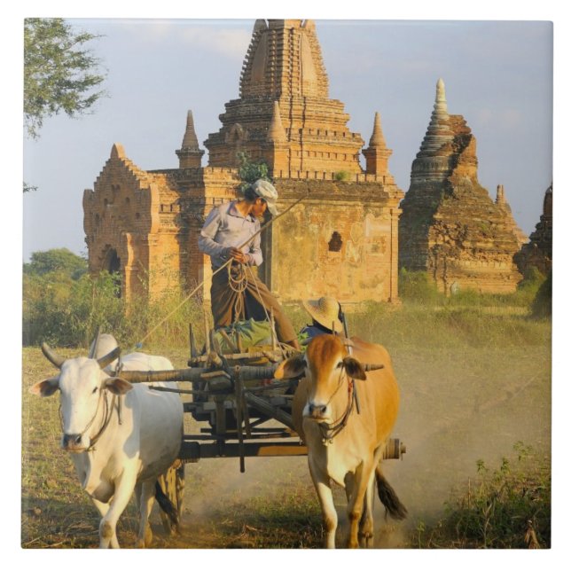 Asien, Myanmar (Burma), Bagan (Pagan). En kärra är Kakelplatta (Framsidan)