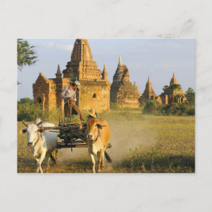 Asien, Myanmar (Burma), Bagan (Pagan). En kärra är Vykort