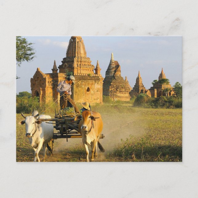 Asien, Myanmar (Burma), Bagan (Pagan). En vagn är Vykort (Framsida)
