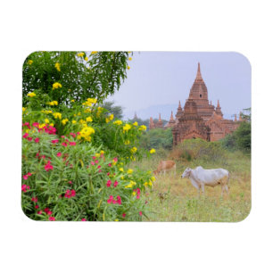 Asien, Myanmar (Burma), Bagan (Pagan). Kor Magnet