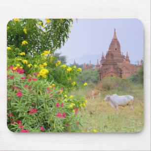 Asien, Myanmar (Burma), Bagan (Pagan). Kor Musmatta