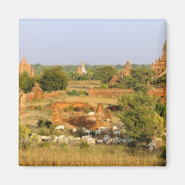 Asien, Myanmar (Burma), Bagan (Pagan). Kor passera Magnet (Framsidan)