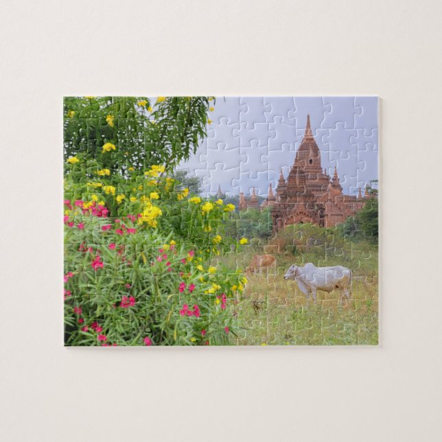Asien, Myanmar (Burma), Bagan (Pagan). Kor Pussel (Horisontell)