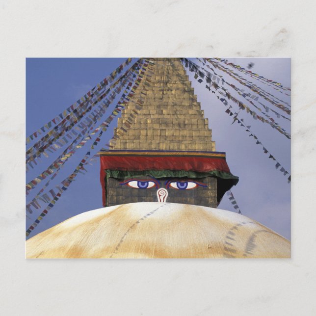 Asien, Nepal, Kathmandu. Bouddhanath Stupa. 2 Vykort (Framsida)