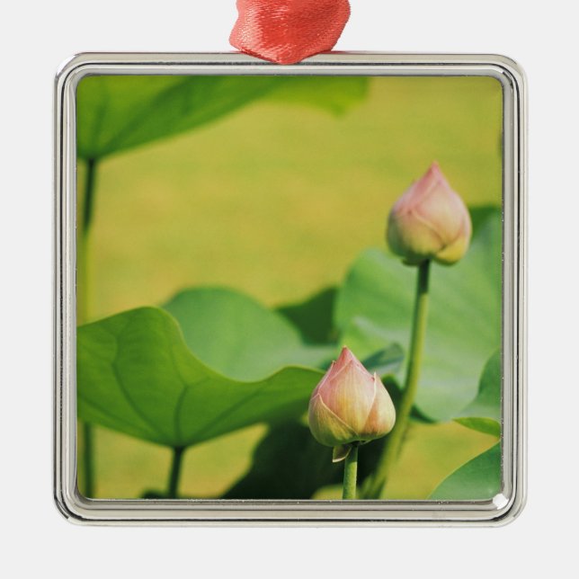 Asien, Thailand, Bangkok. Grand Palace, lotus Julgransprydnad Metall (Framsidan)