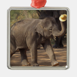 Asien, Thailand, Lampang Bugande med hatt - Thai Julgransprydnad Metall