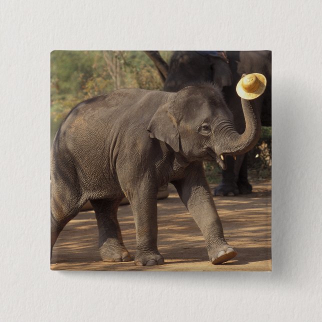 Asien, Thailand, Lampang Bugande med hatt - Thai Knapp (Framsida)