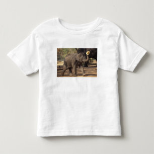 Asien, Thailand, Lampang Bugande med hatt - Thai T Shirt