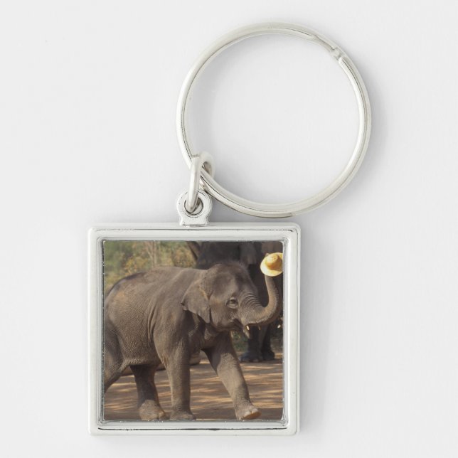 Asien, Thailand, Lampang Bwing med hat - Thailand Fyrkantig Silverfärgad Nyckelring (Framsidan)