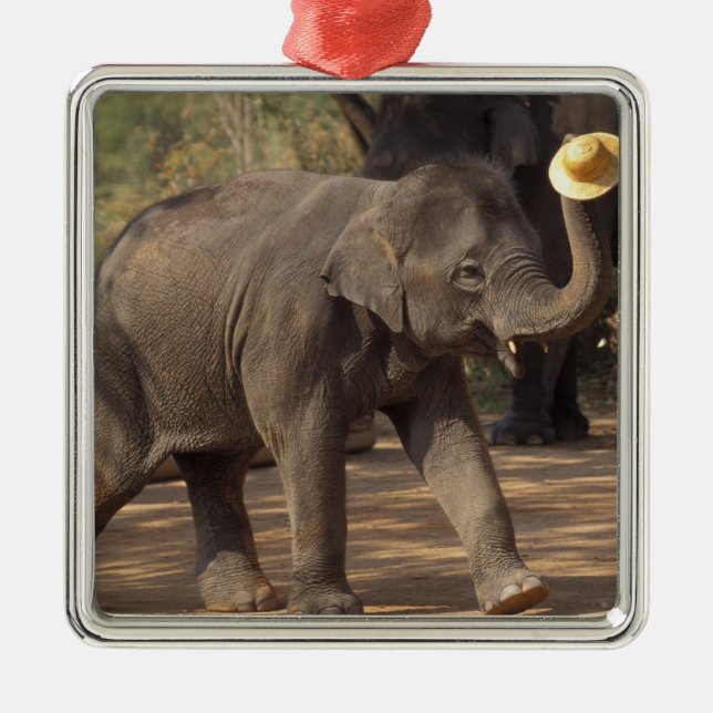 Asien, Thailand, Lampang Bwing med hat - Thailand Julgransprydnad Metall (Framsidan)