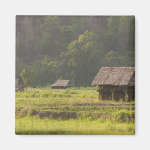 Asien, Thailand, Mae Hong Son, Risshyddor i Magnet