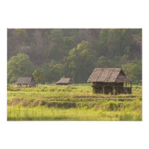 Asien, Thailand, Mae Hong Son, Risstugor i den Fototryck