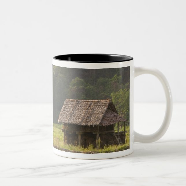 Asien, Thailand, Mae Hong Son, Risstugor i Två-Tonad Mugg (Höger)