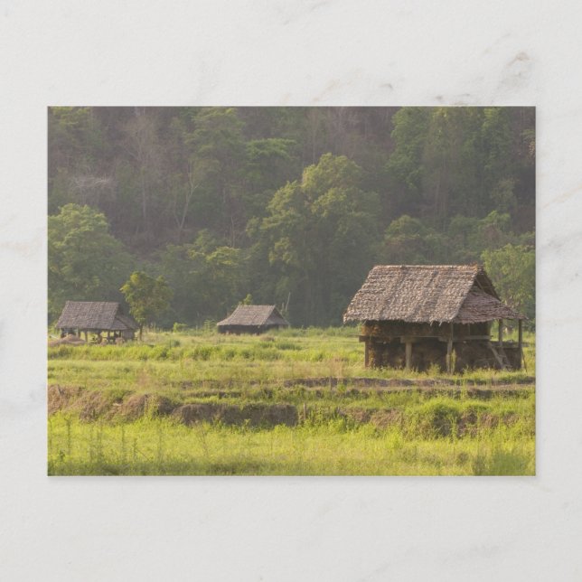 Asien, Thailand, Mae Hong Son, Risstugor i Vykort (Framsida)