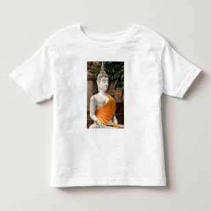 Asien, Thailand, Siam, Buddha i Ayutthaya Tee