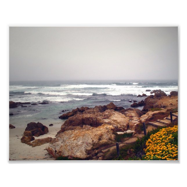 Asilomar Beach, Pacific Grove, CA, USA Fototryck (Framsidan)