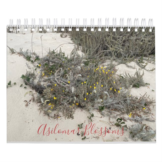 Asilomar-Blommar Kalender (Omslag)