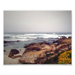 Asilomar strand, Stillahavs- dunge, CA, USA Fototryck