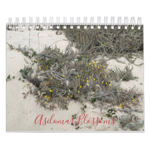 Asilomära Blommar Kalender