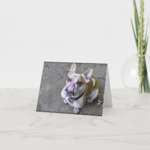 Åska bulldogghälsningkorten kort