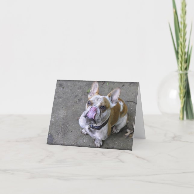 Åska bulldogghälsningkorten kort (Framsida)