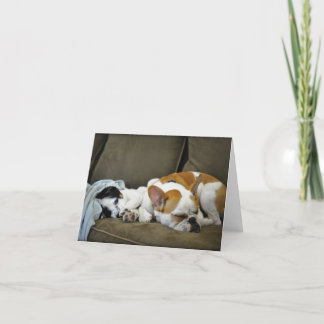 Åska bulldogghälsningkorten kort