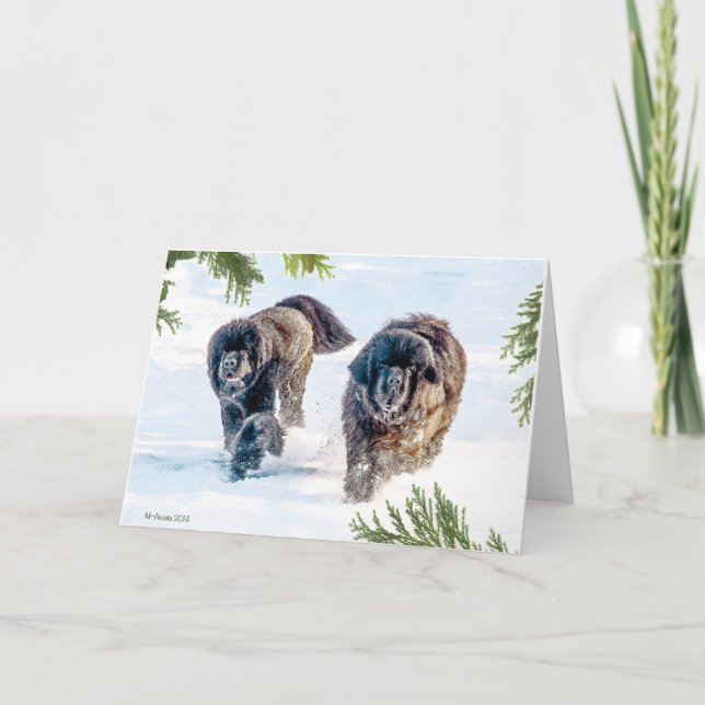 Åska in i det nya året! helgkort (Framsida)